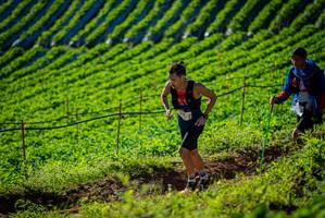 BIB: 
                            <button type="button" onclick="openModal(19160451)" class="btn btn-primary btn-sm float-right btn-popup" data-toggle="modal" data-target=".modal-high-quality">
                        <i class="fas fa-shopping-cart"></i> Add to Cart
                    </button>
                                            <button type="button" onclick="isThisMe(19160451, true)" class="btn btn-success btn-sm float-right btn-popup btn-isme hidden" data-toggle="tooltip" data-placement="bottom" title="นี่คือรูปของคุณใช่ไหม คลิกที่นี่เพื่อเอาเข้าอัลบั้ม">
                        <i class="fas fa-plus"></i> Add to album
                    </button>
                    <button type="button" onclick="isThisMe(19160451, false)" class="btn btn-warning btn-sm float-right btn-popup btn-isnotme hidden">
                        <i class="fas fa-ban"></i> Remove from album
                    </button>